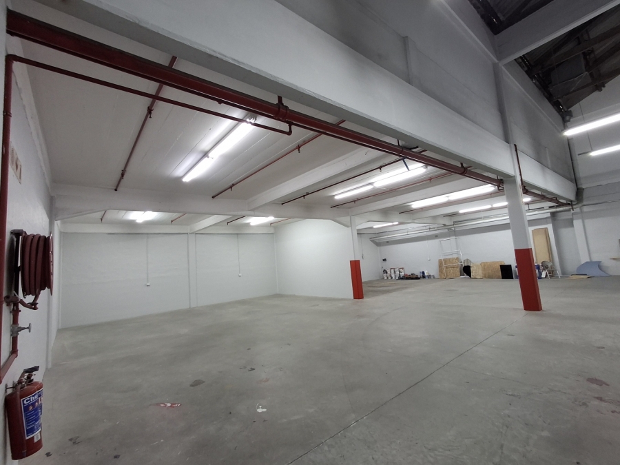 To Let Commercial Property for Rent in Arcadia Eastern Cape